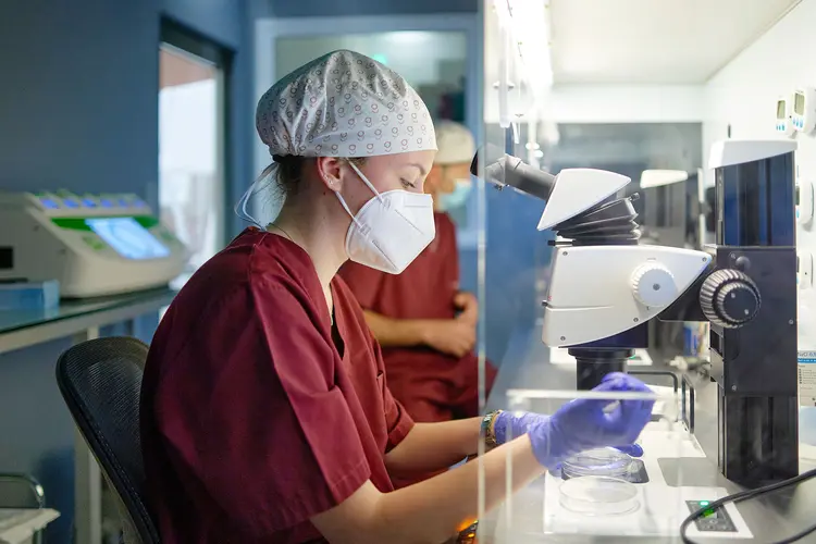 Fertility Treatment (IVF)